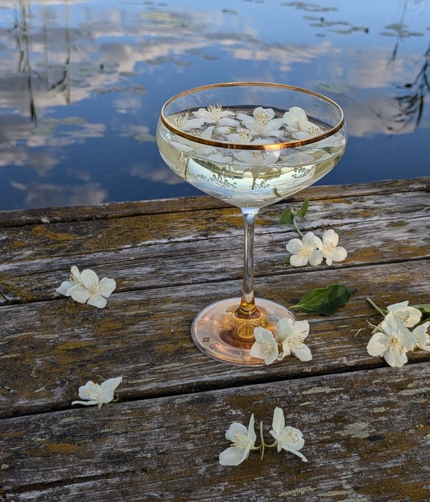 Photograph by Liudmila Drake