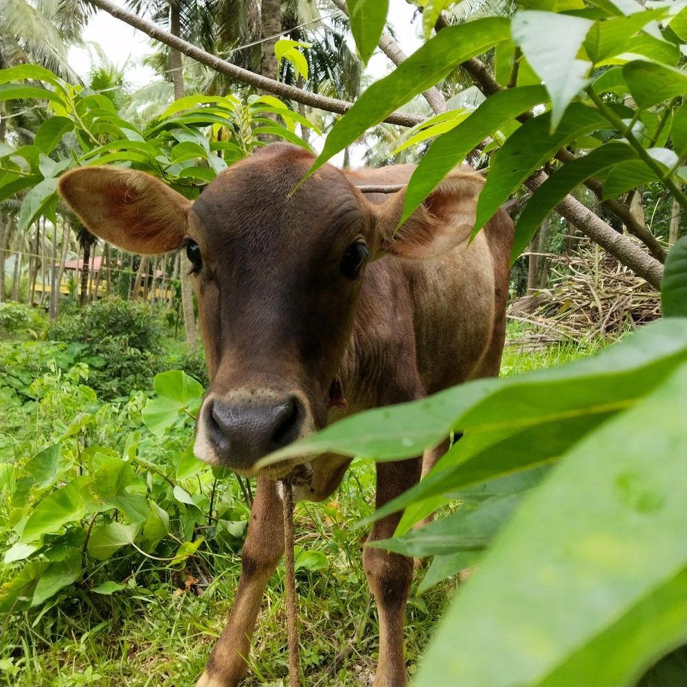 Photograph by Varsha Gatti