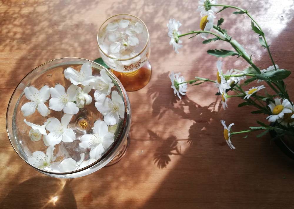 Photograph by Liudmila Drake