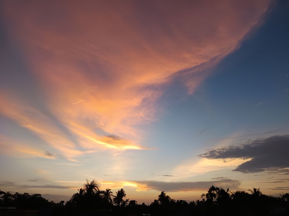 Photograph by Aditi Ghosh