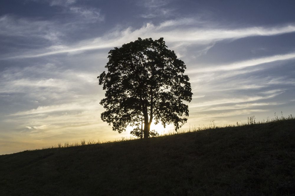Photograph by 