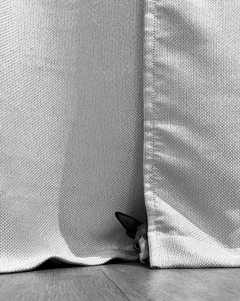 Photograph by Ольга Осинина