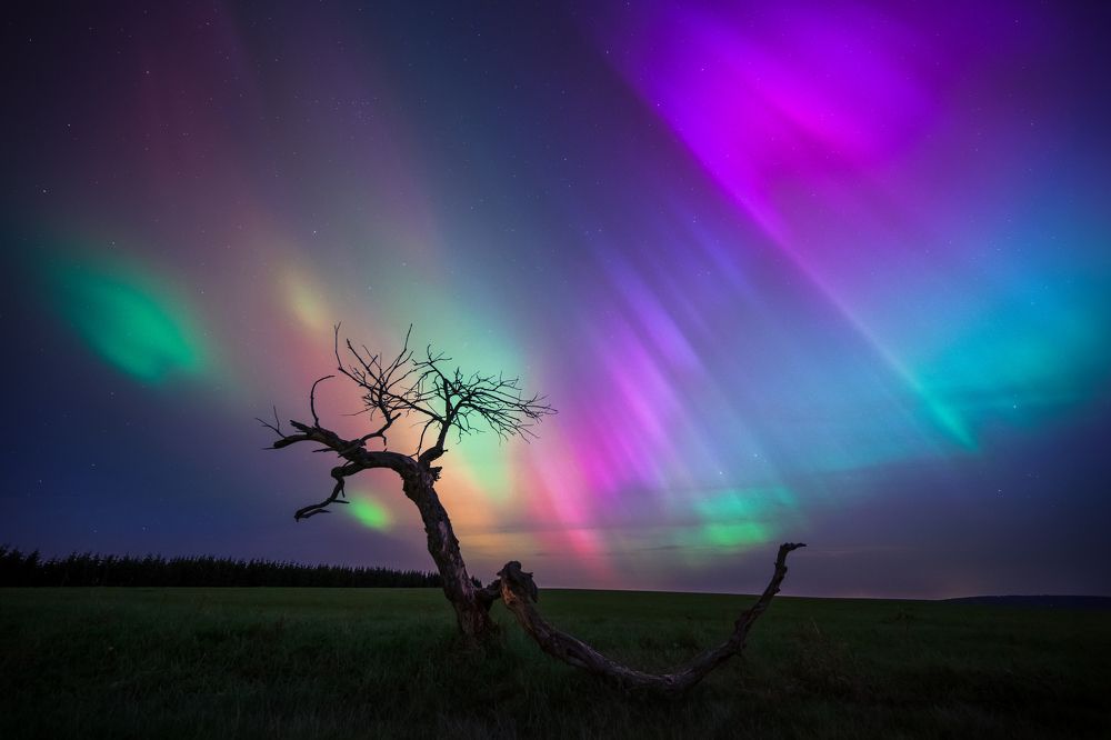 Photograph by Luboš Prchal