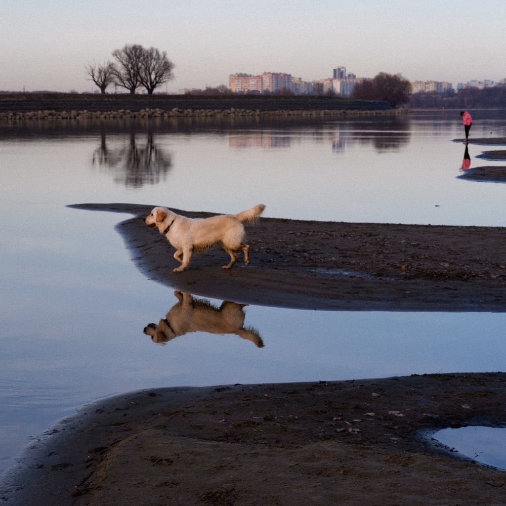 Photograph by Елена Шевченко