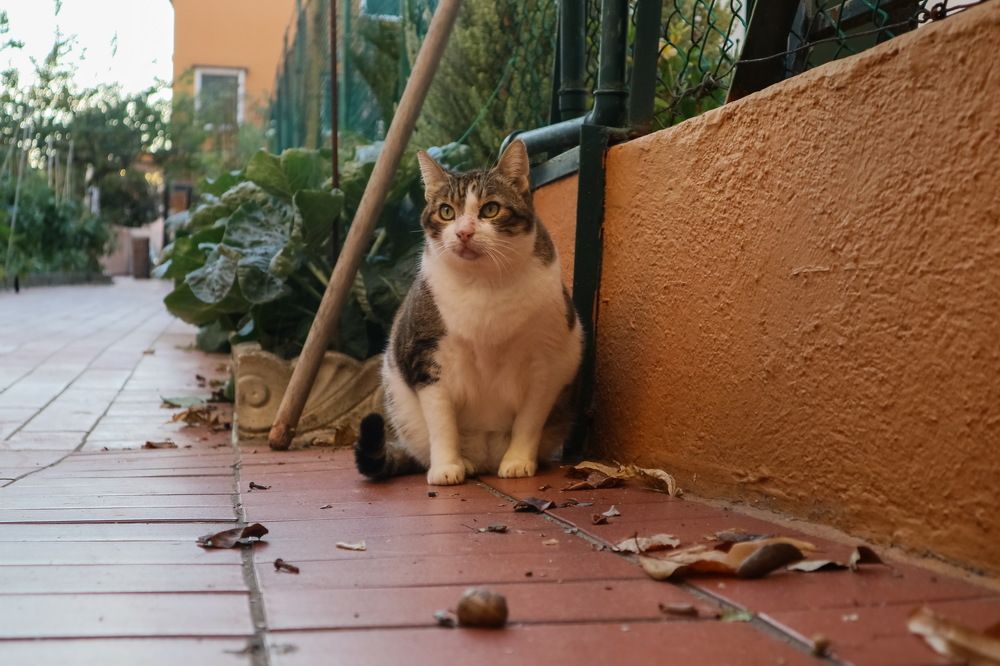 Photograph by ILYA KOREYSHA