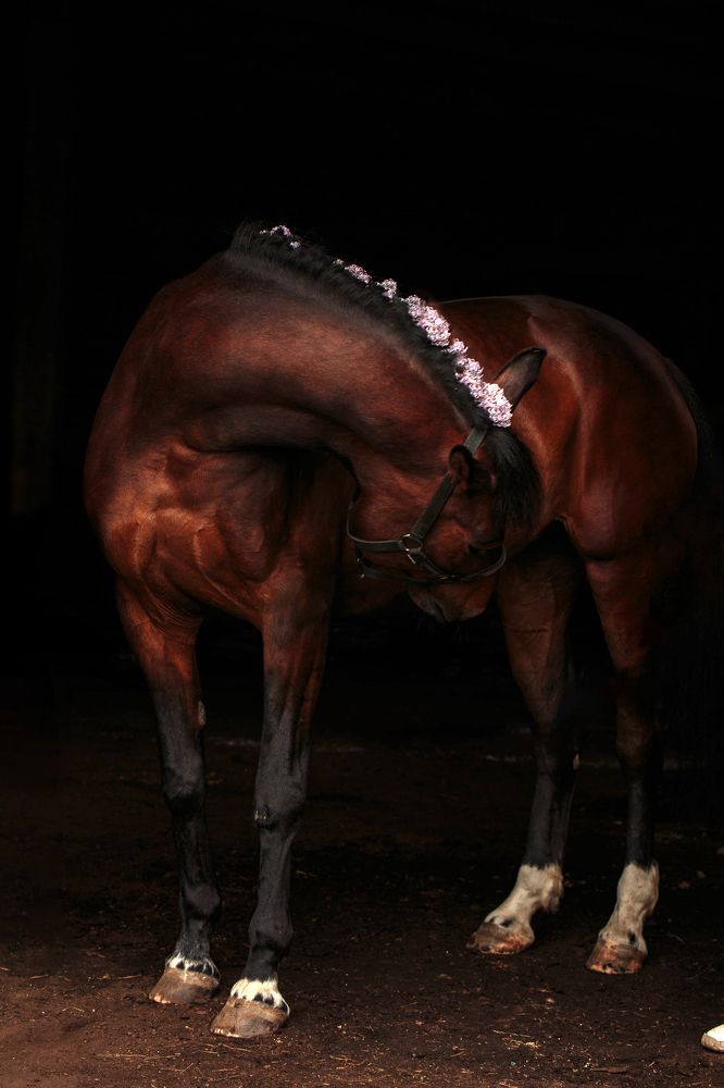 Photograph by Любовь Похабова