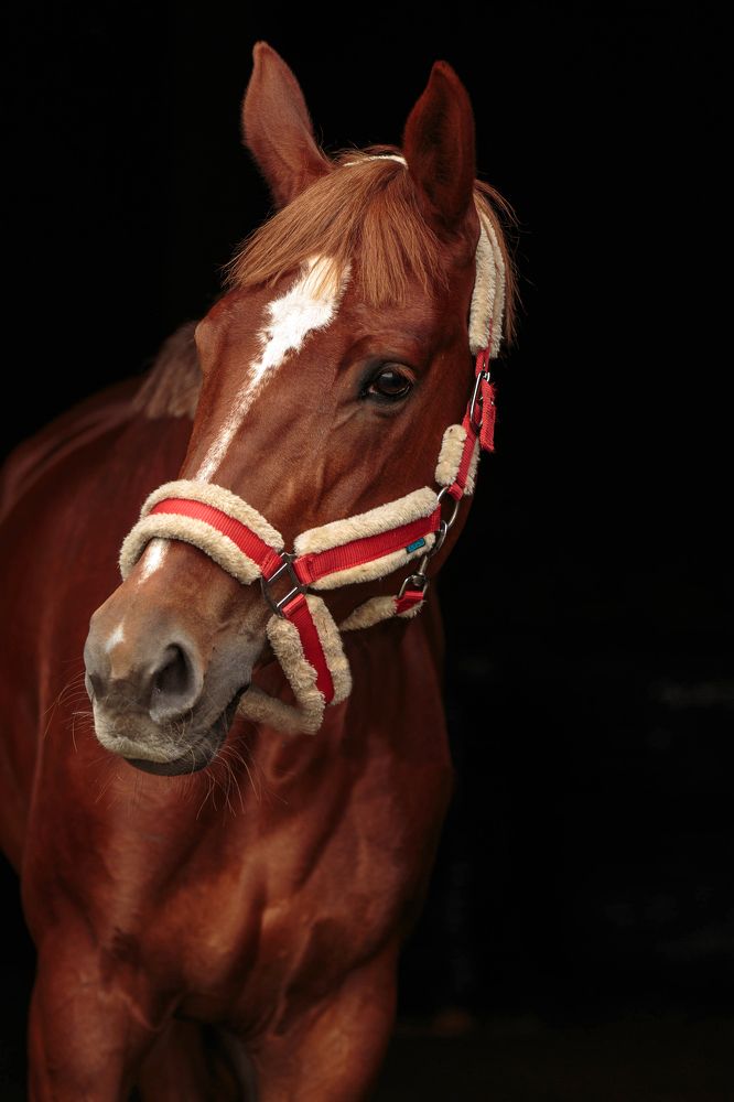 Photograph by Любовь Похабова