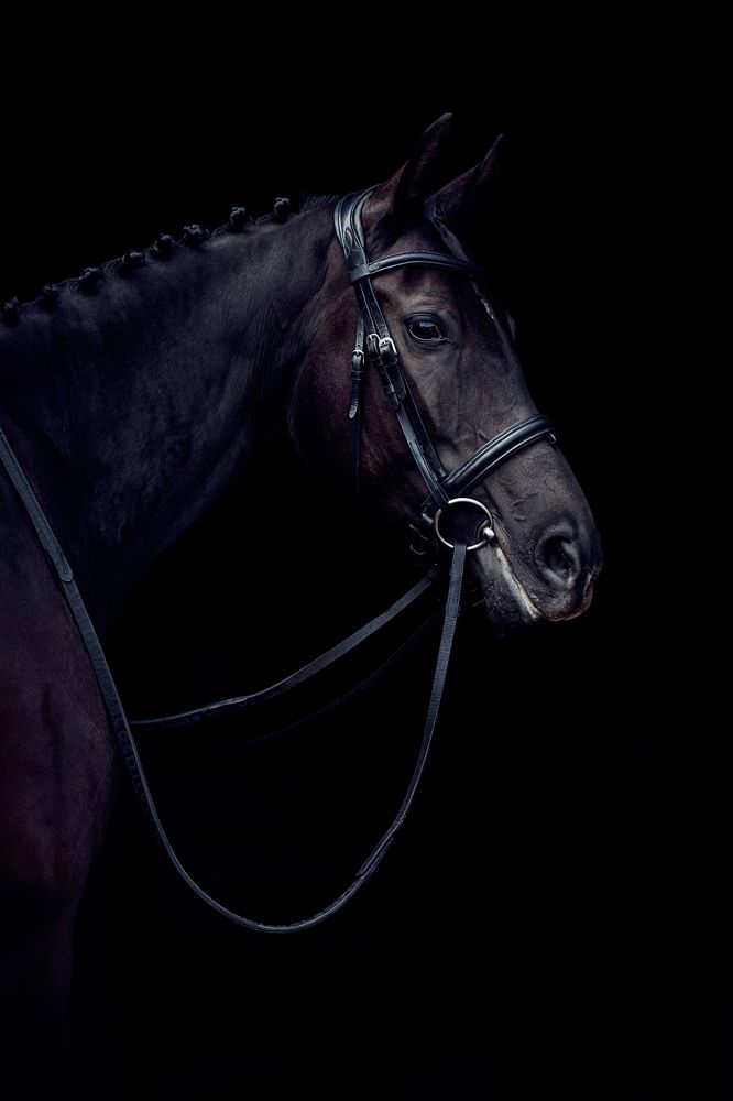 Photograph by Любовь Похабова