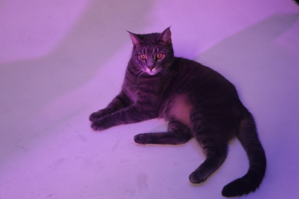 Photograph by ILYA KOREYSHA