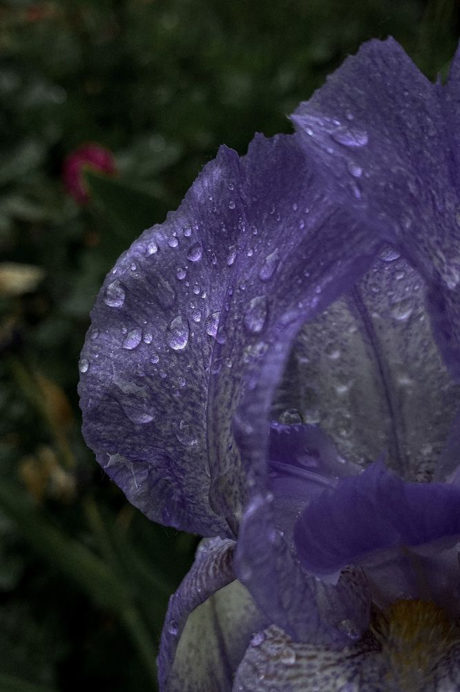 Photograph by Оксана Михайлова