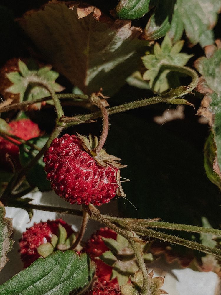 Photograph by Оксана Михайлова