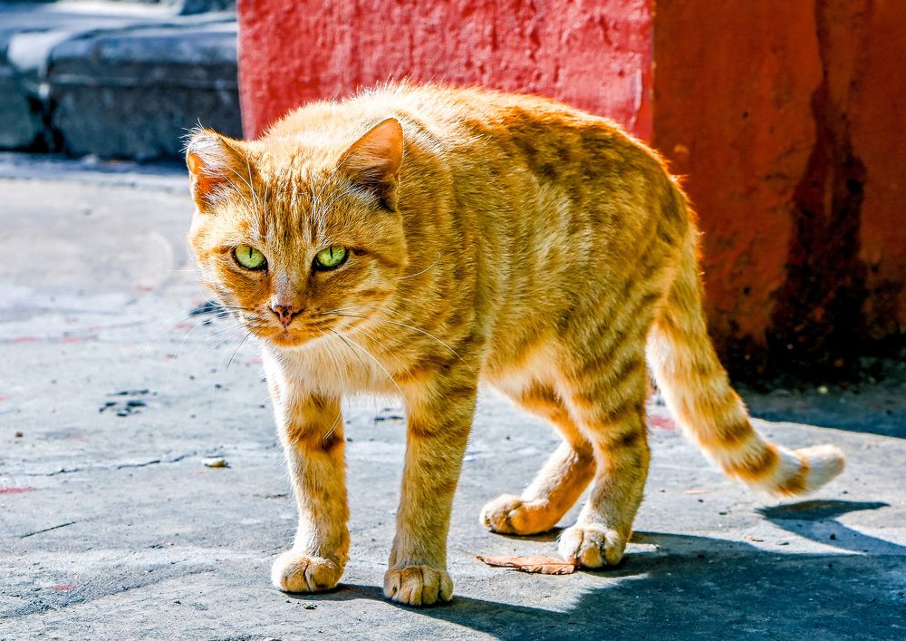 Photograph by Юлия Ковальчук