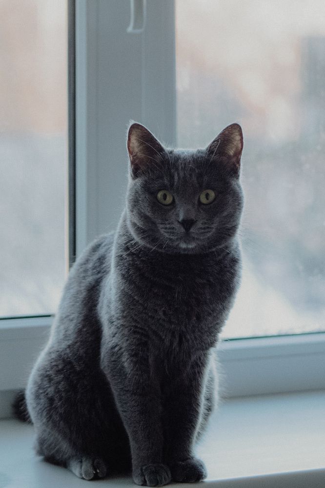 Photograph by Оксана Михайлова