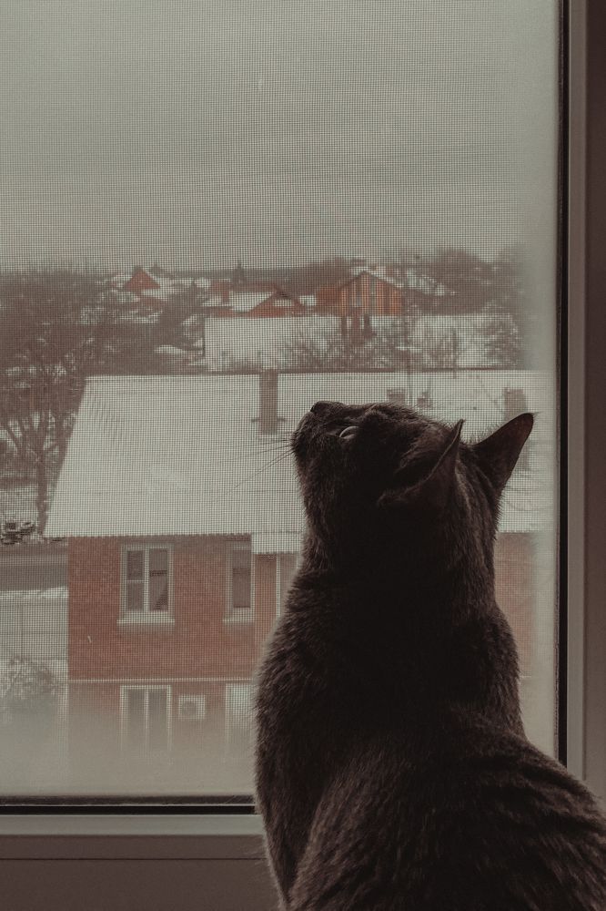 Photograph by Оксана Михайлова