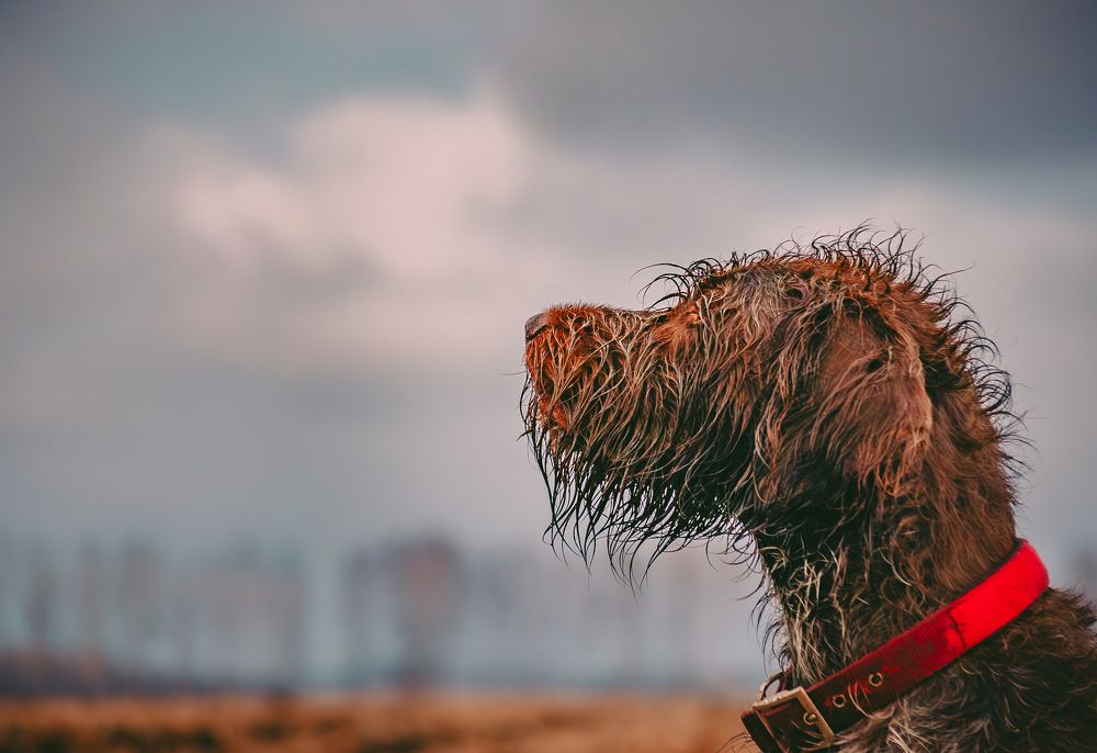 Photograph by Ольга Глущенко