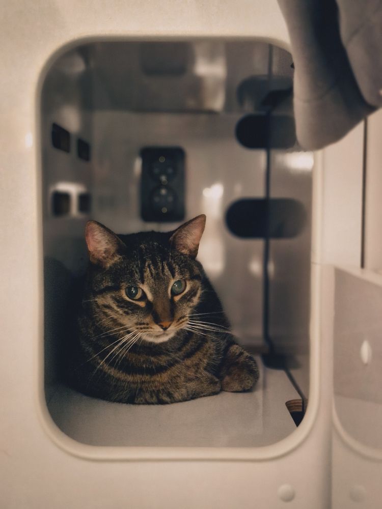 Photograph by Ольга Глущенко