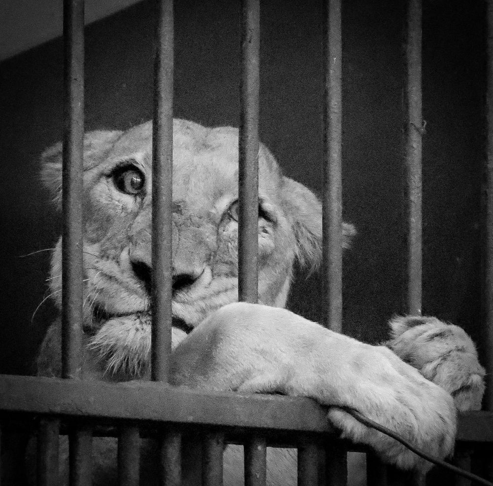 Photograph by ASHRAF FATHY BAKRY