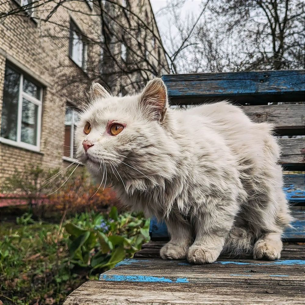 Photograph by Владимир Заборонок