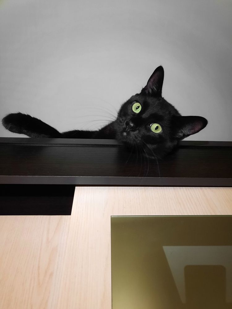 Photograph by Анжелика Соловьева