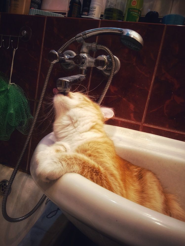 Photograph by Митюшкова Алёна