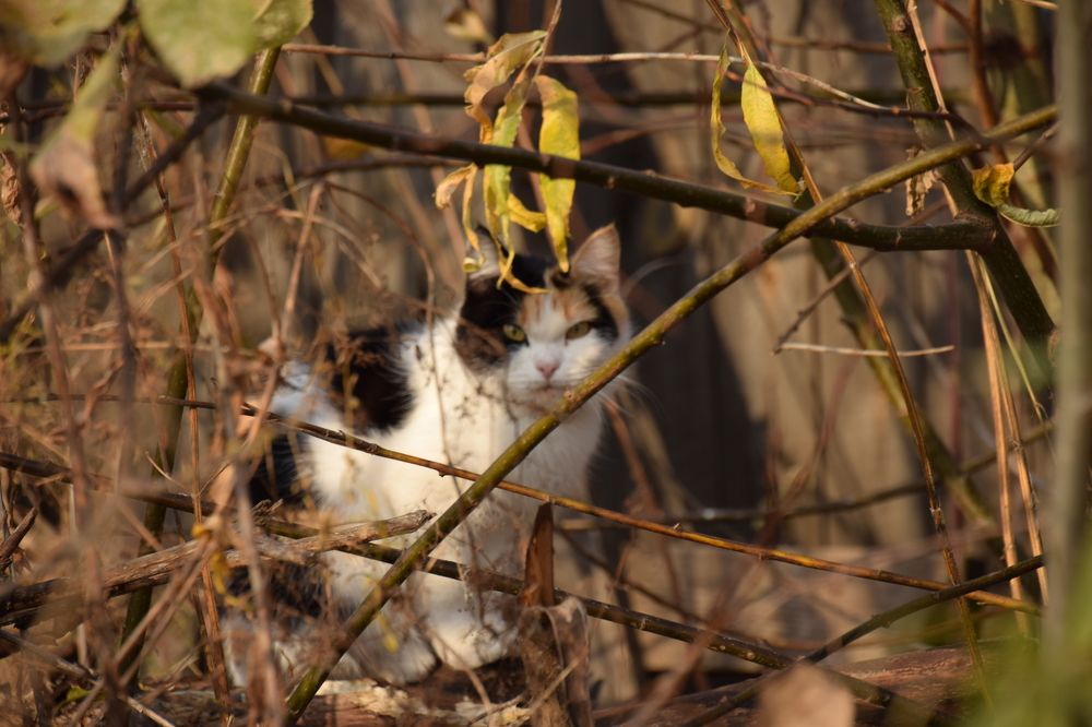 Photograph by Митюшкова Алёна