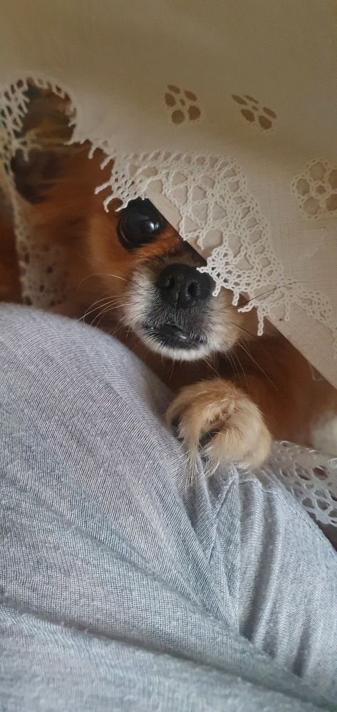 Photograph by Анастасия Трофимовская