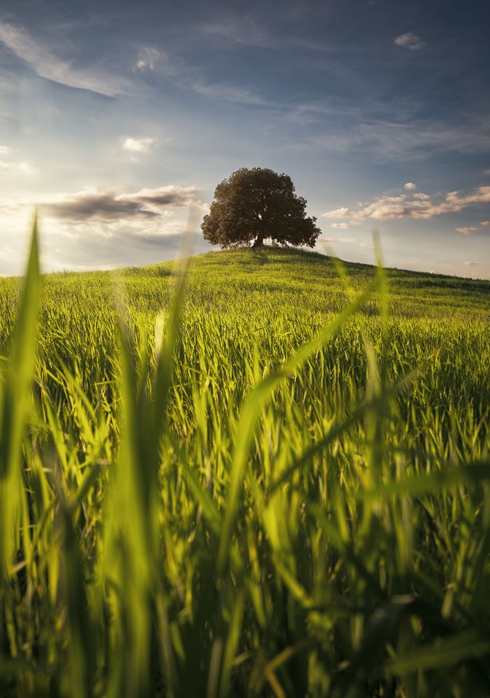 Photograph by Maddalena Elisabetta Veronesi