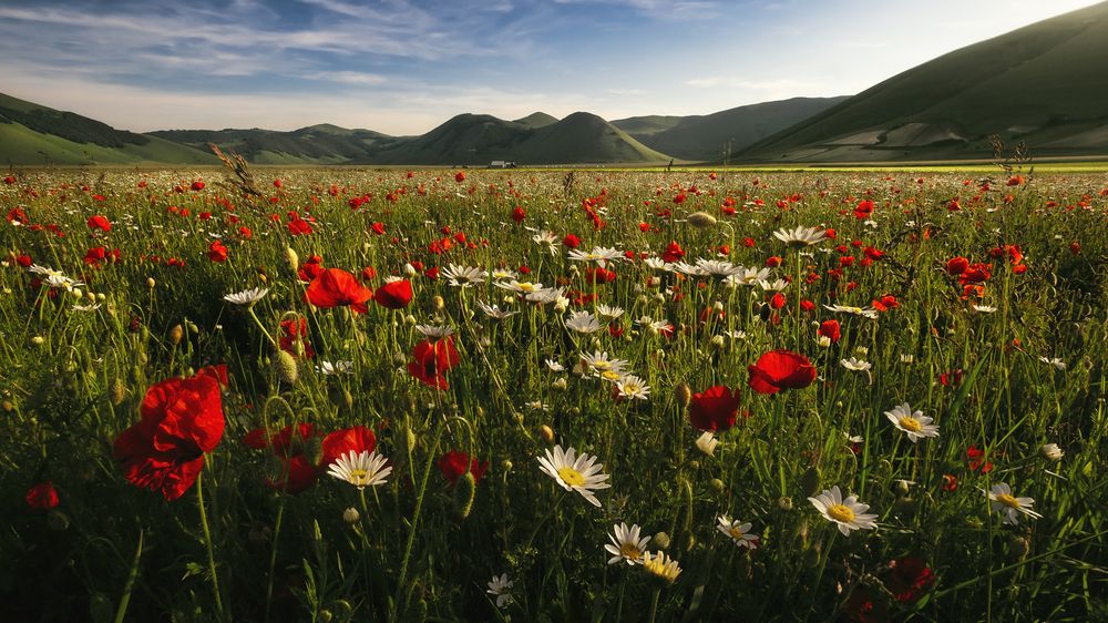 Photograph by Maddalena Elisabetta Veronesi