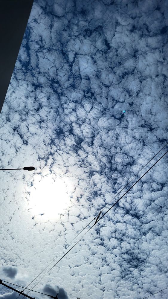 Фотография автора Татьяна Прашкевич