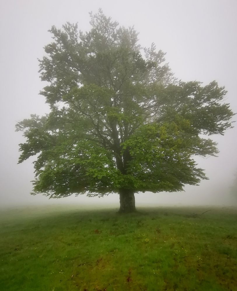 Фотография автора Uljana Kuchar