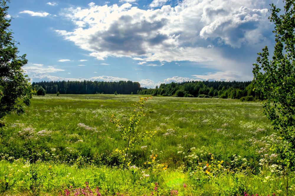 Photograph by Олег Менакер