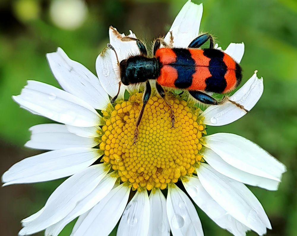 Photograph by Александра