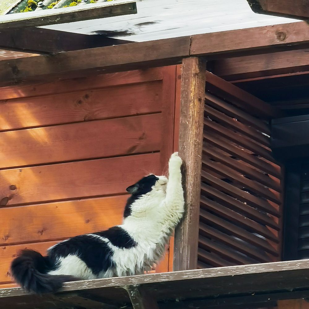 Photograph by Серафима Силина