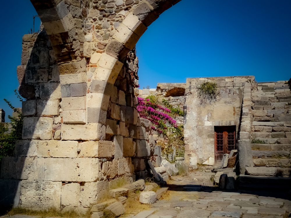 Photograph by Алексей Мякота