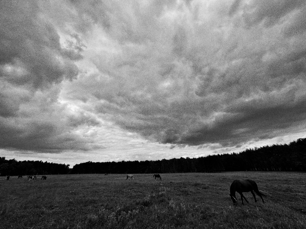 Photograph by Якушин Роман