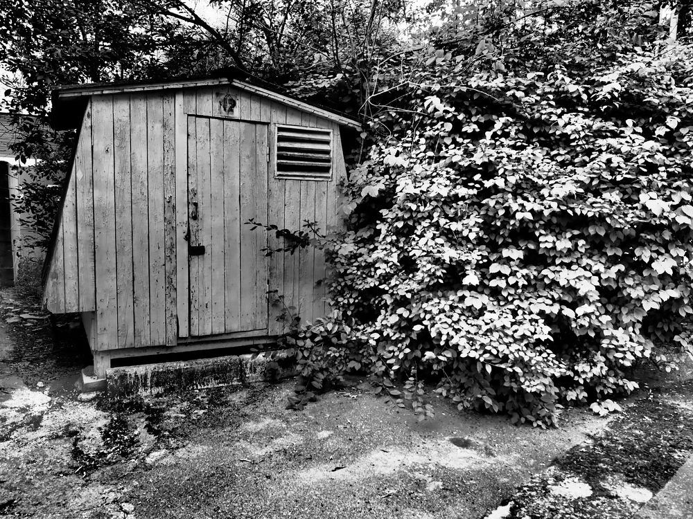 Photograph by Сергей Борисов