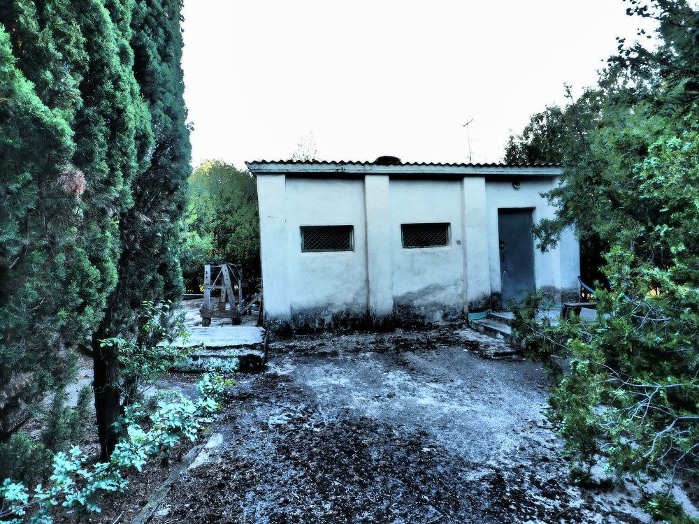 Photograph by Сергей Борисов