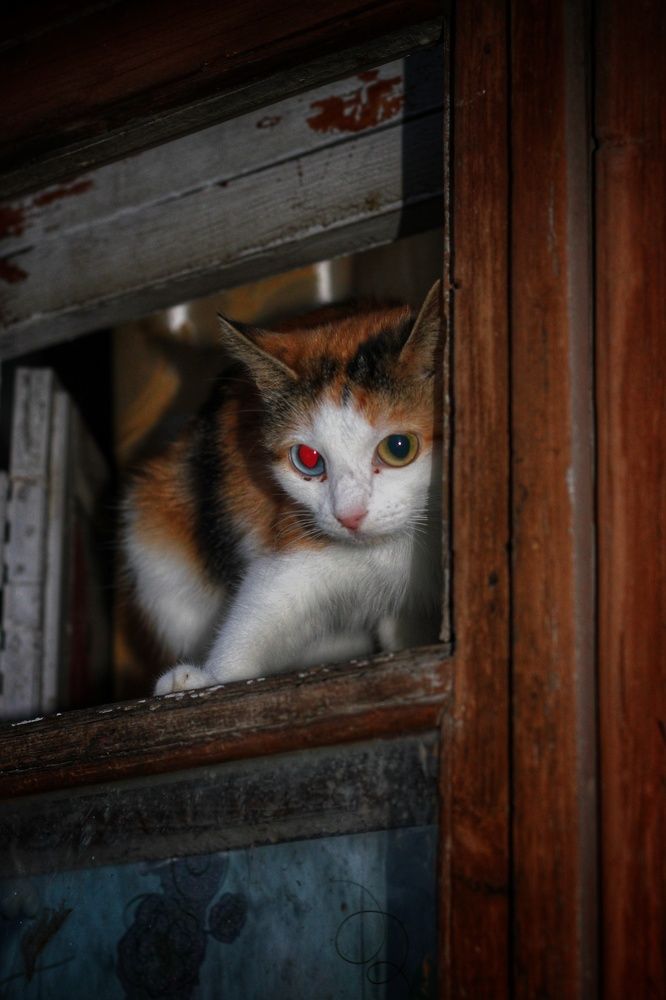 Photograph by Иван Крылов