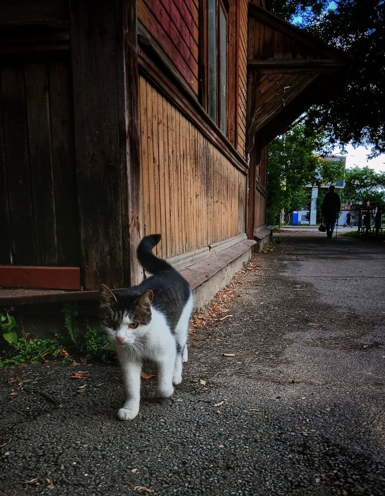 Photograph by Иван Крылов
