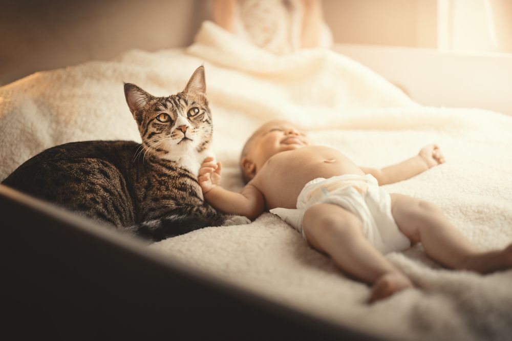 Photograph by Mohammad Hassan Naserolmemar