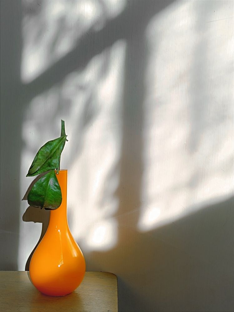 Что же там за окном?