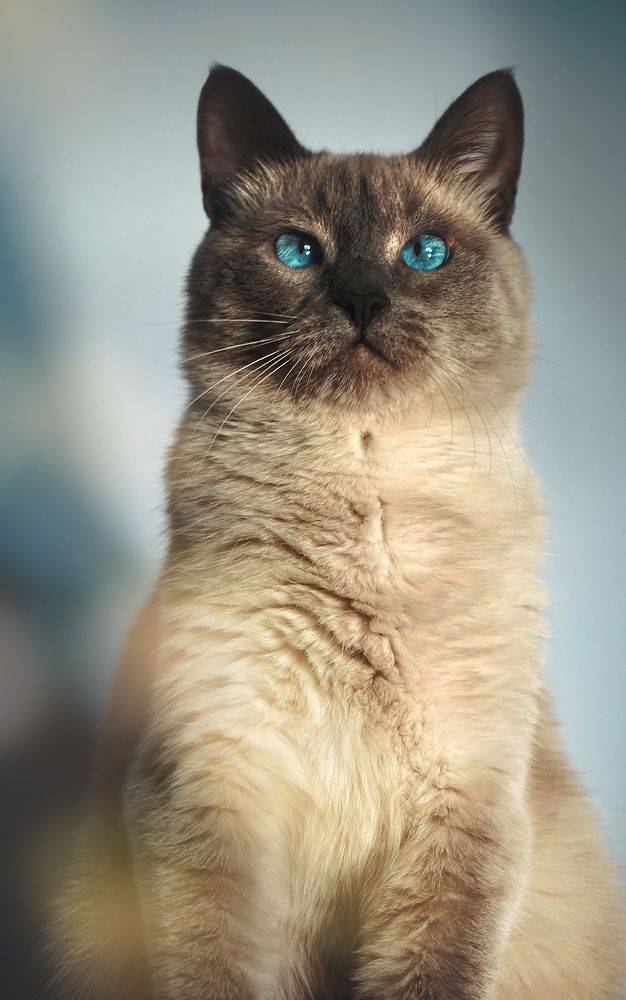 Photograph by Мария Никольская