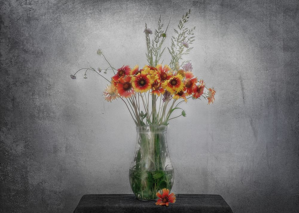 Photograph by Елена Кухарева