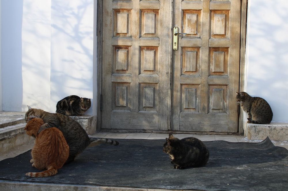 Фотография автора Иван Кириллов