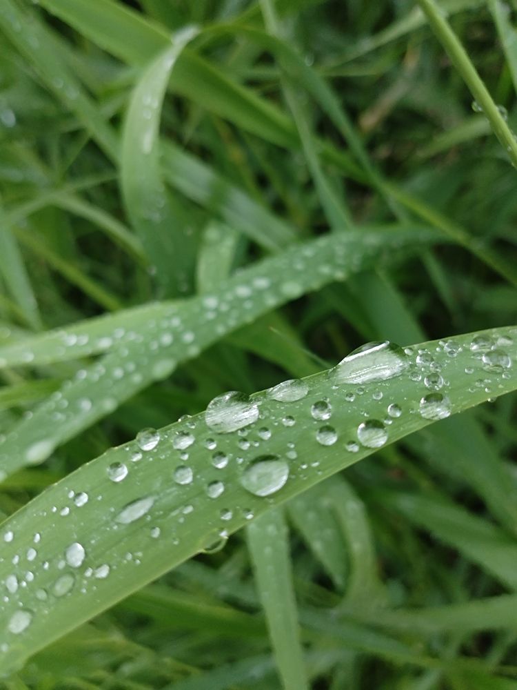 Photograph by Pavel Smurygin