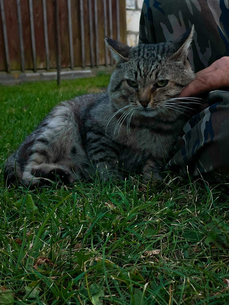 Photograph by Анна Пигулевская