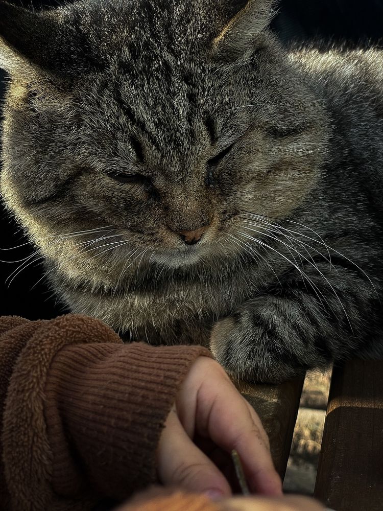 Photograph by Анна Пигулевская