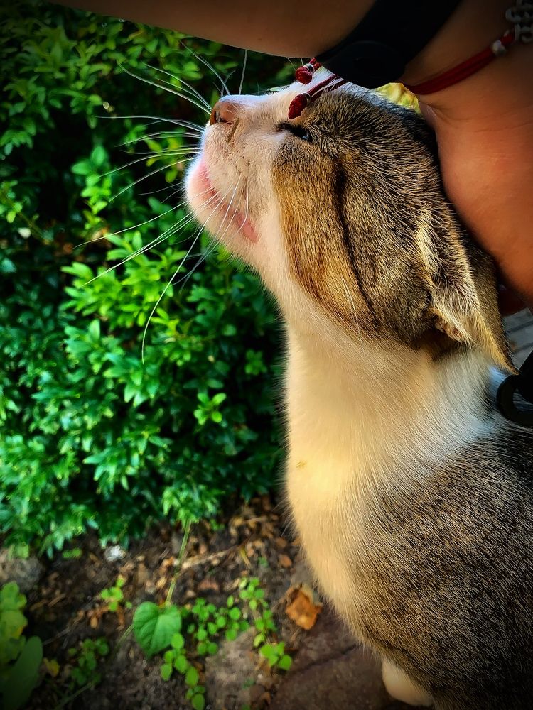 Photograph by Анна Пигулевская