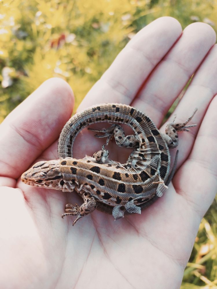 Photograph by Карманов Сергей