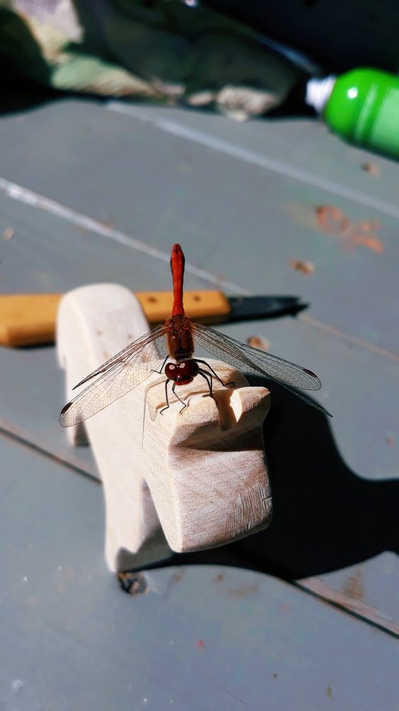 Photograph by Карманов Сергей